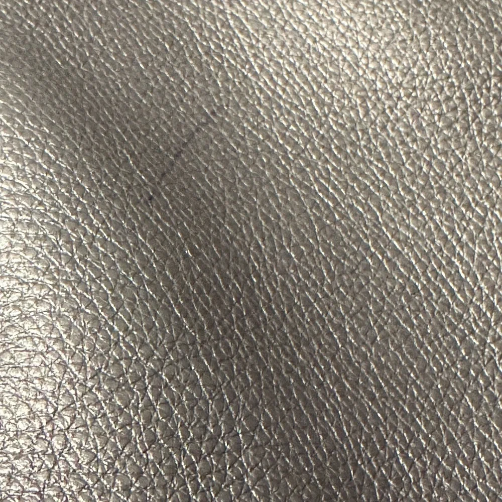 COACH Isabella Shoulder/Crossbody Bag,Pebble Leather,Light Metallic Champagne - Picture 10 of 15